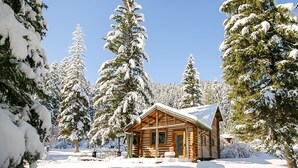 A log cabin surrounded by snow-covered trees.