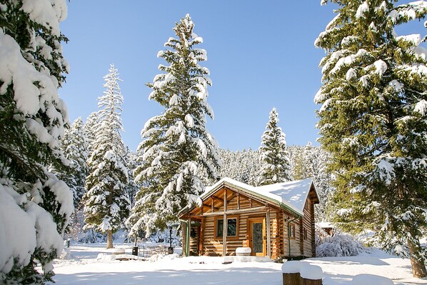 A log cabin surrounded by snow-covered trees.