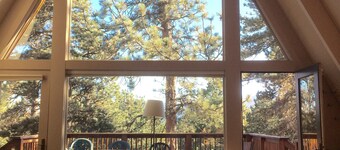 Serene Solitude mountain cabin in Allenspark