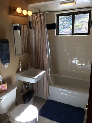 Tina con regadera, secadora de cabello, toallas, papel de baño 