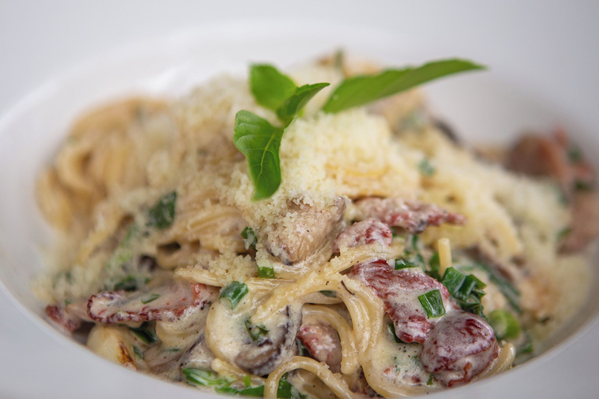 Eine Schüssel Pasta mit cremiger Soße, bestreut mit geriebenem Käse und einem Basilikumblatt.
