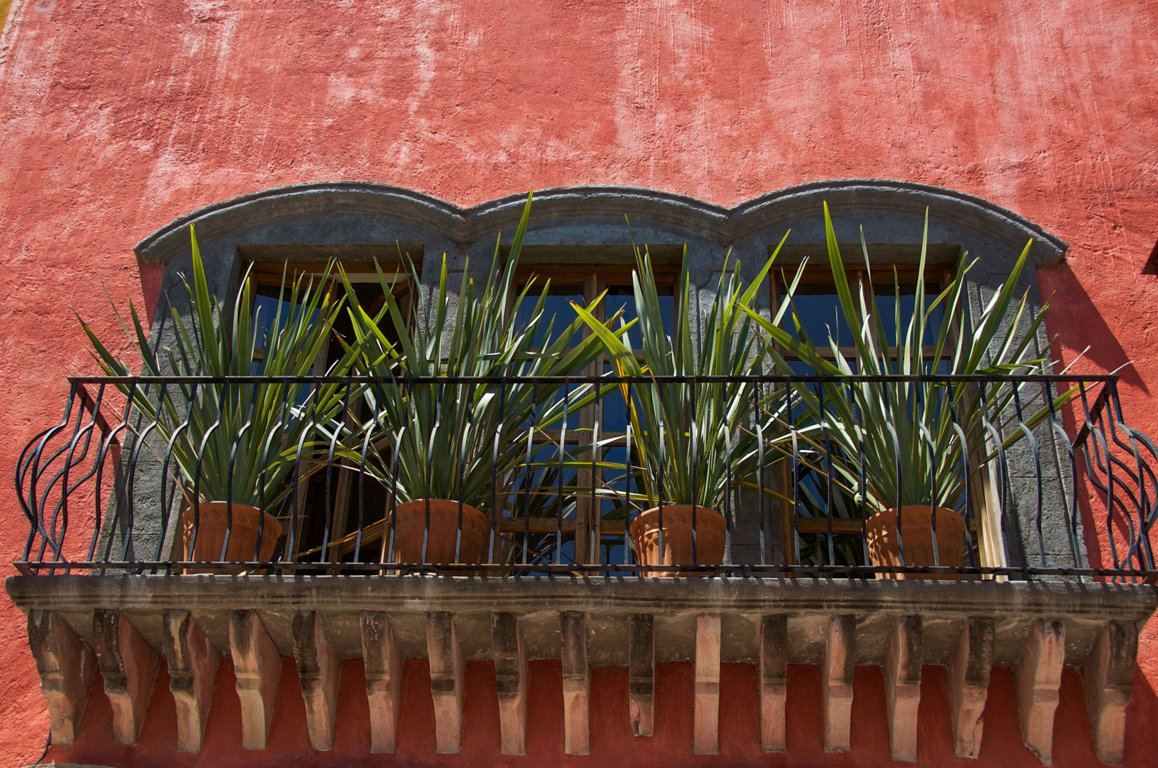 Un balcón con macetas de terracota con plantas verdes, barandilla de hierro forjado y una pared roja.
