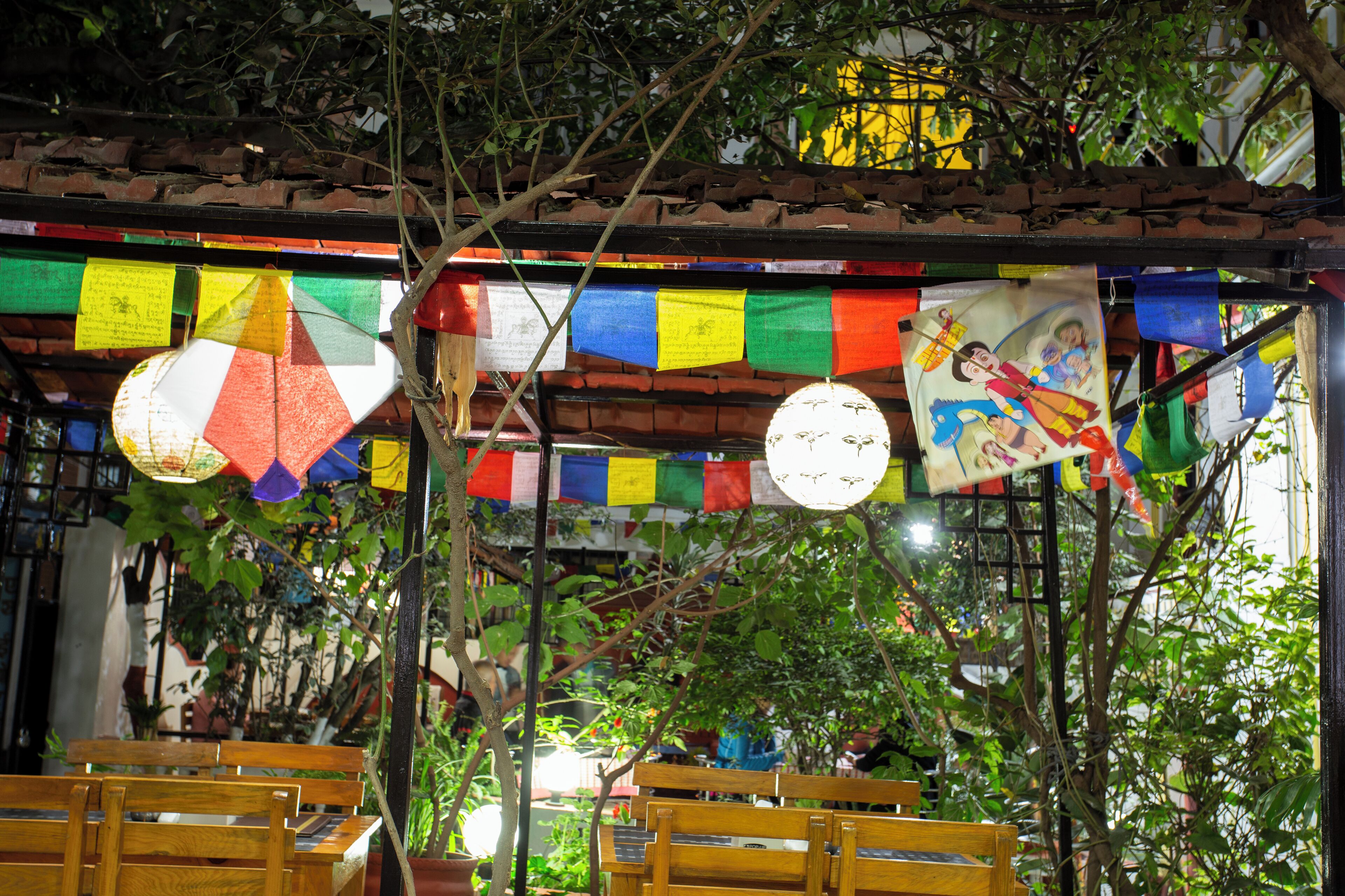 international cuisine