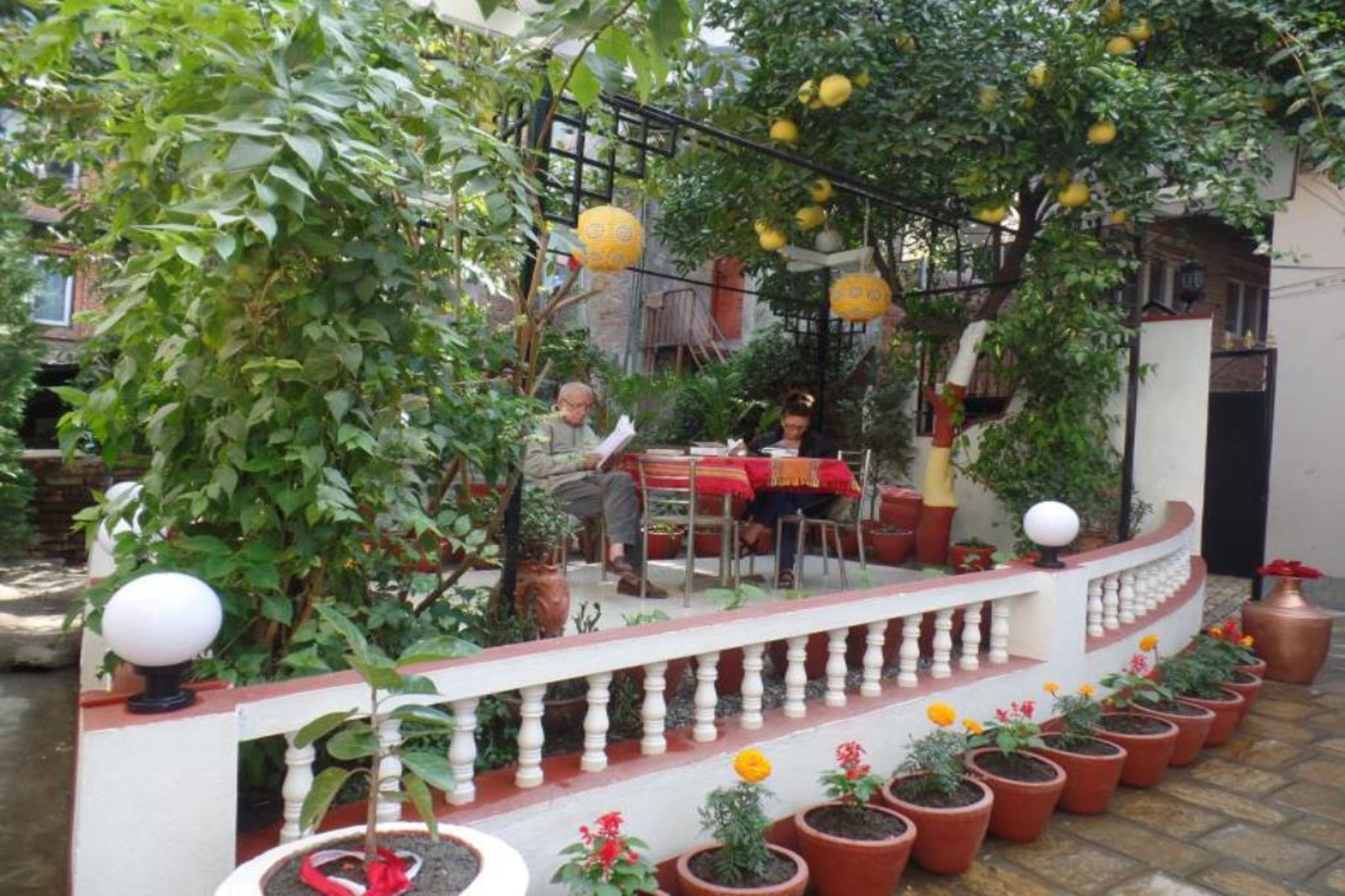 international cuisine