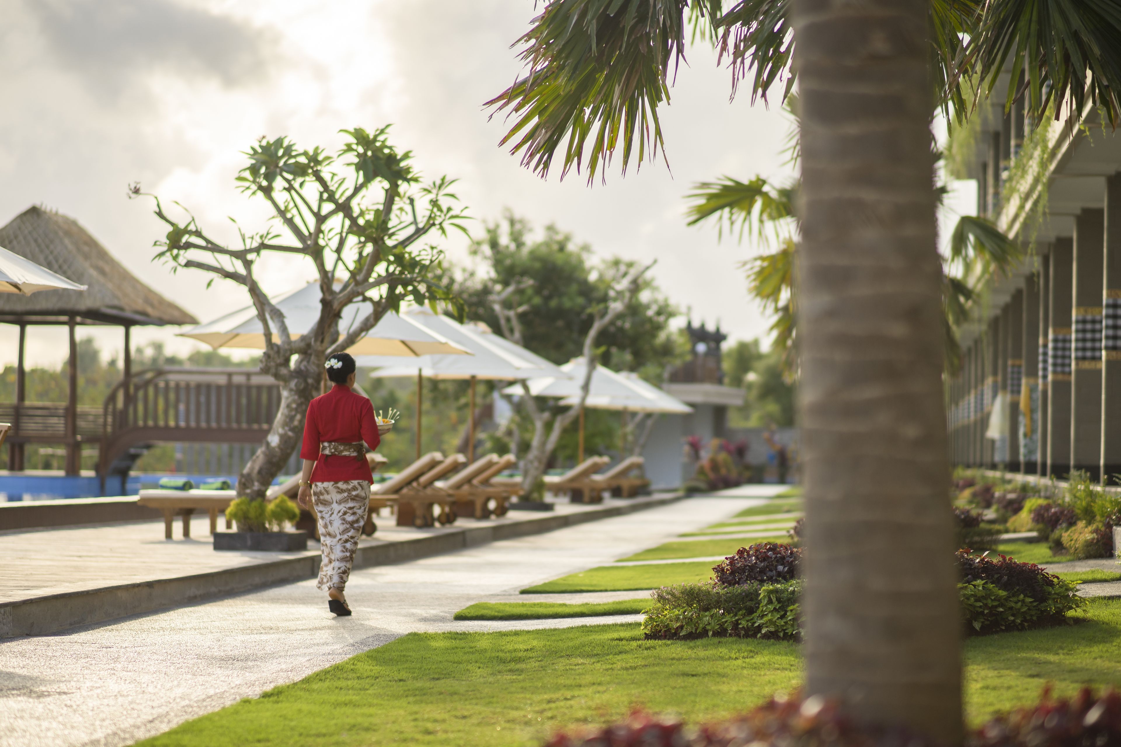 A pathway lined with palm trees and lounge chairs, leading to a building with a thatched roof.