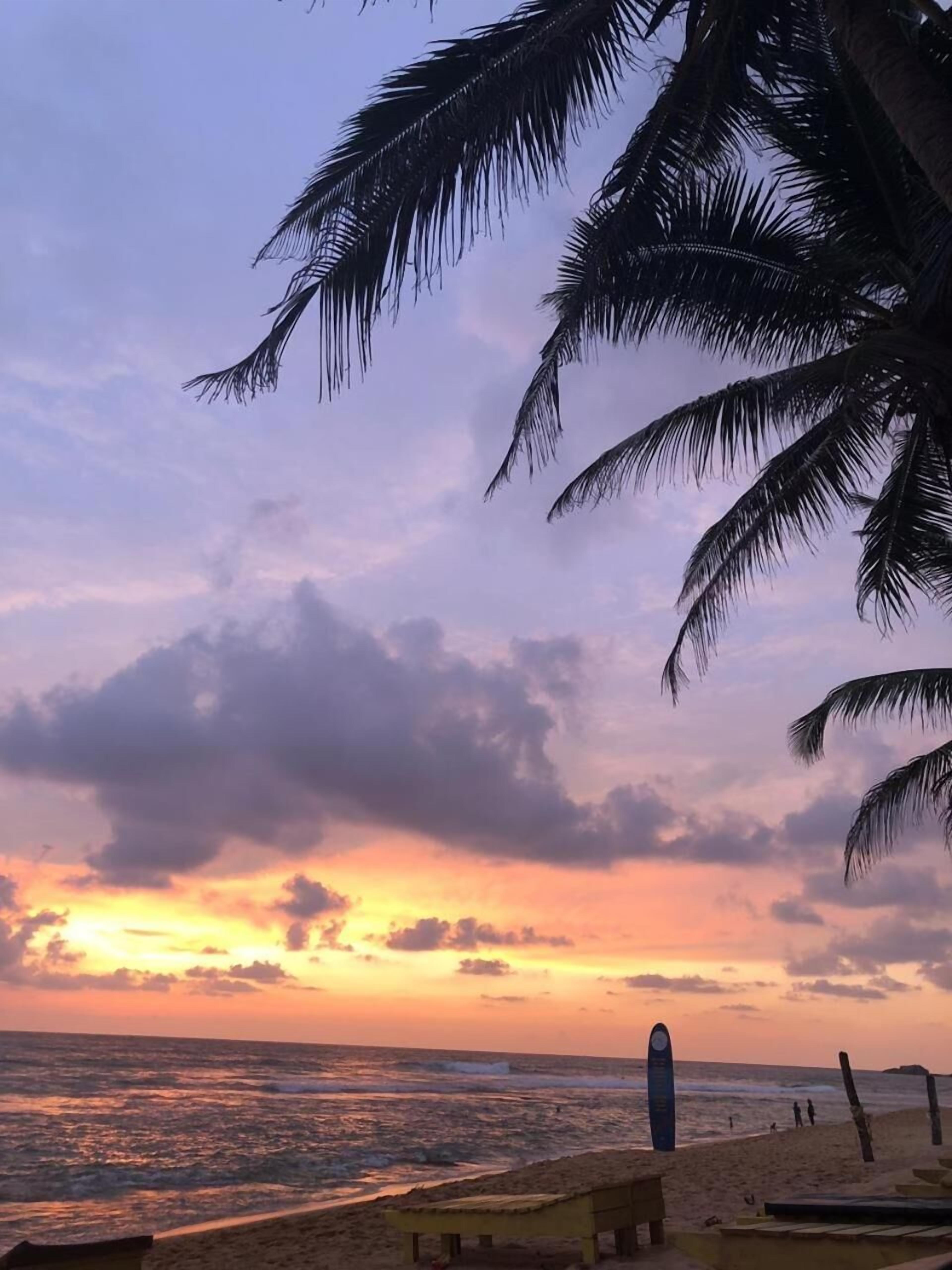 A beach with palm trees, a sandy shore, and a sunset.