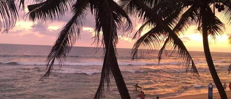 Am Strand, Sporttauchen