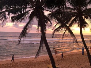 Una playa con palmeras y el océano al atardecer.
