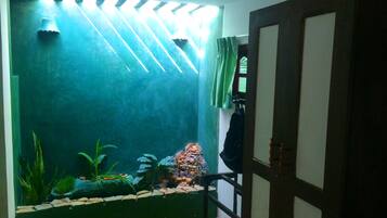 Tweepersoonskamer | Een kluis op de kamer, een strijkplank/strijkijzer, gratis wifi