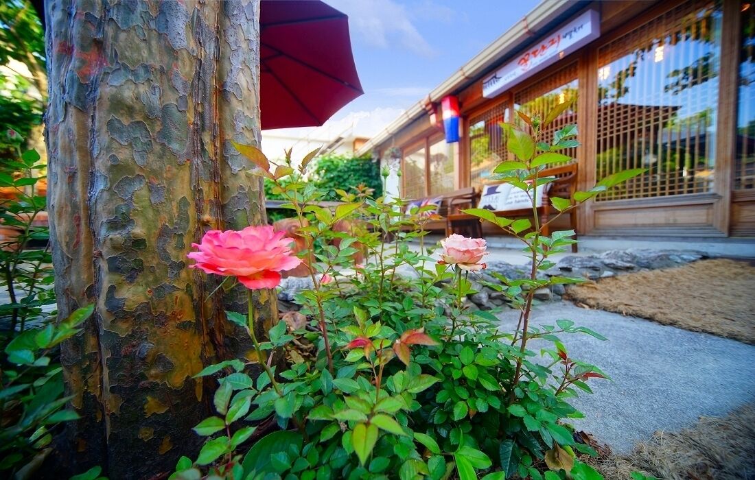 Family Room | Terrace/patio