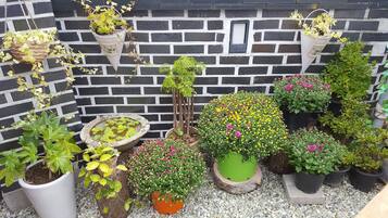 Habitación estándar (Hyanggi) | Terraza o patio