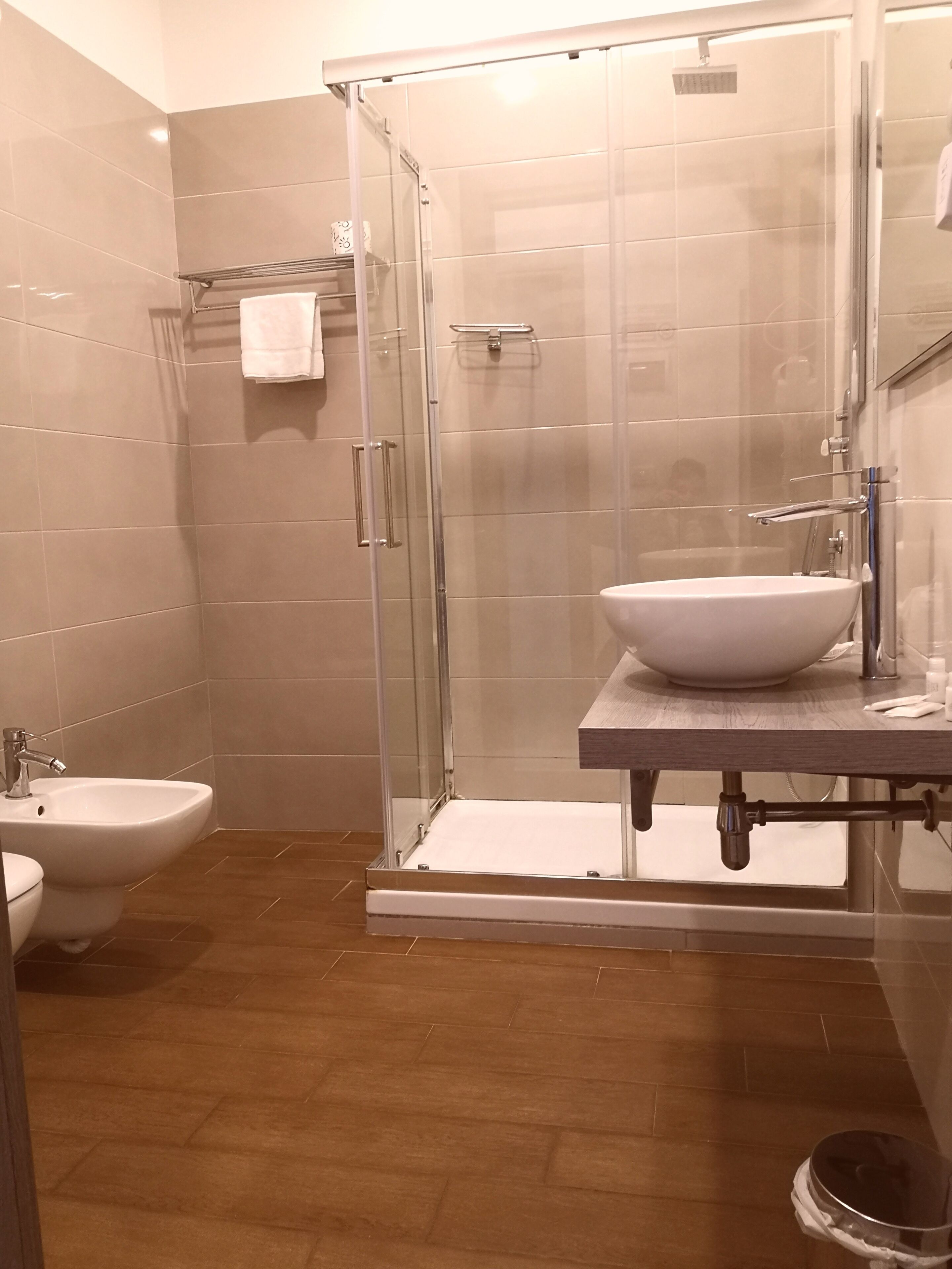 Shower, hair dryer, bidet, towels