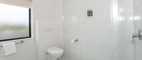 A bathroom with a toilet, a glass shower enclosure, and a window.