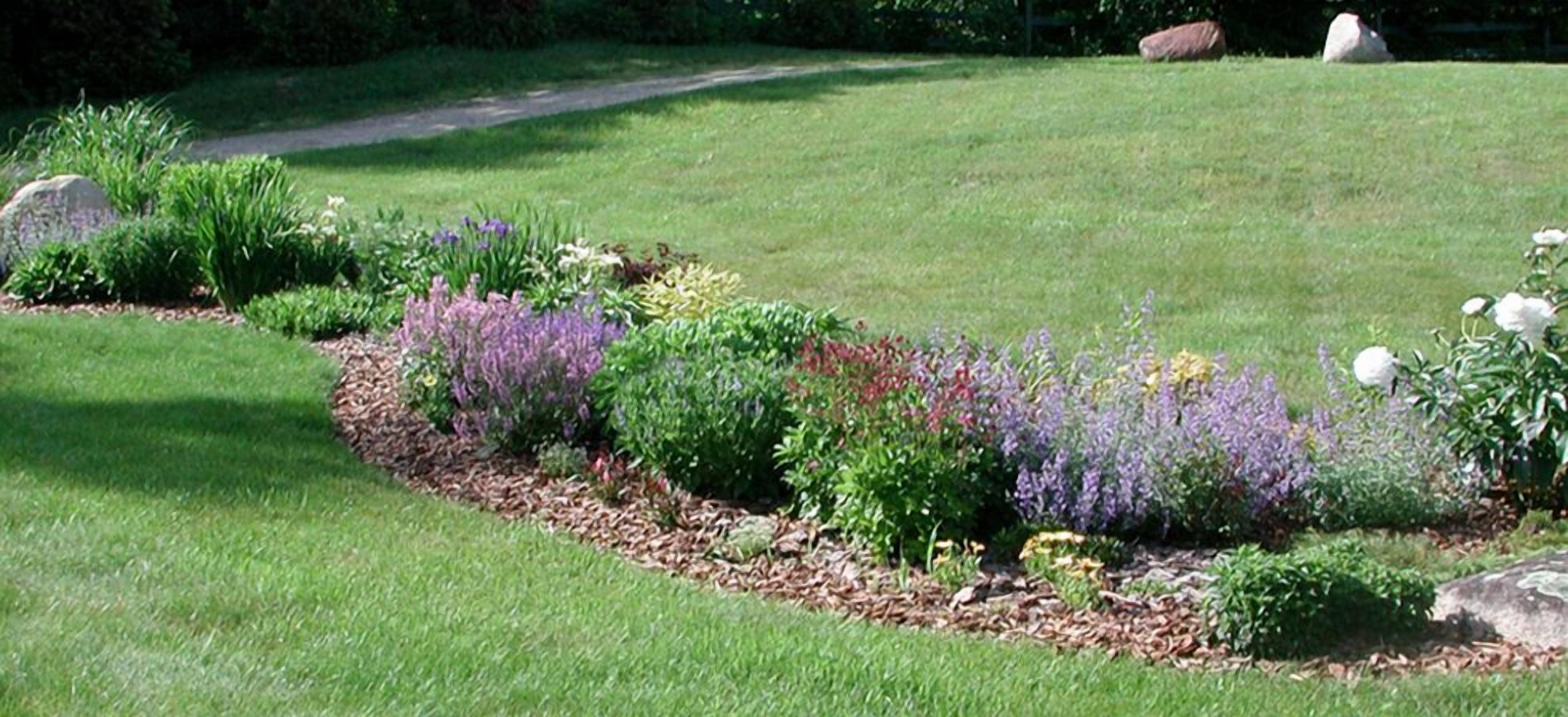 A landscaped garden with a variety of plants and a path.