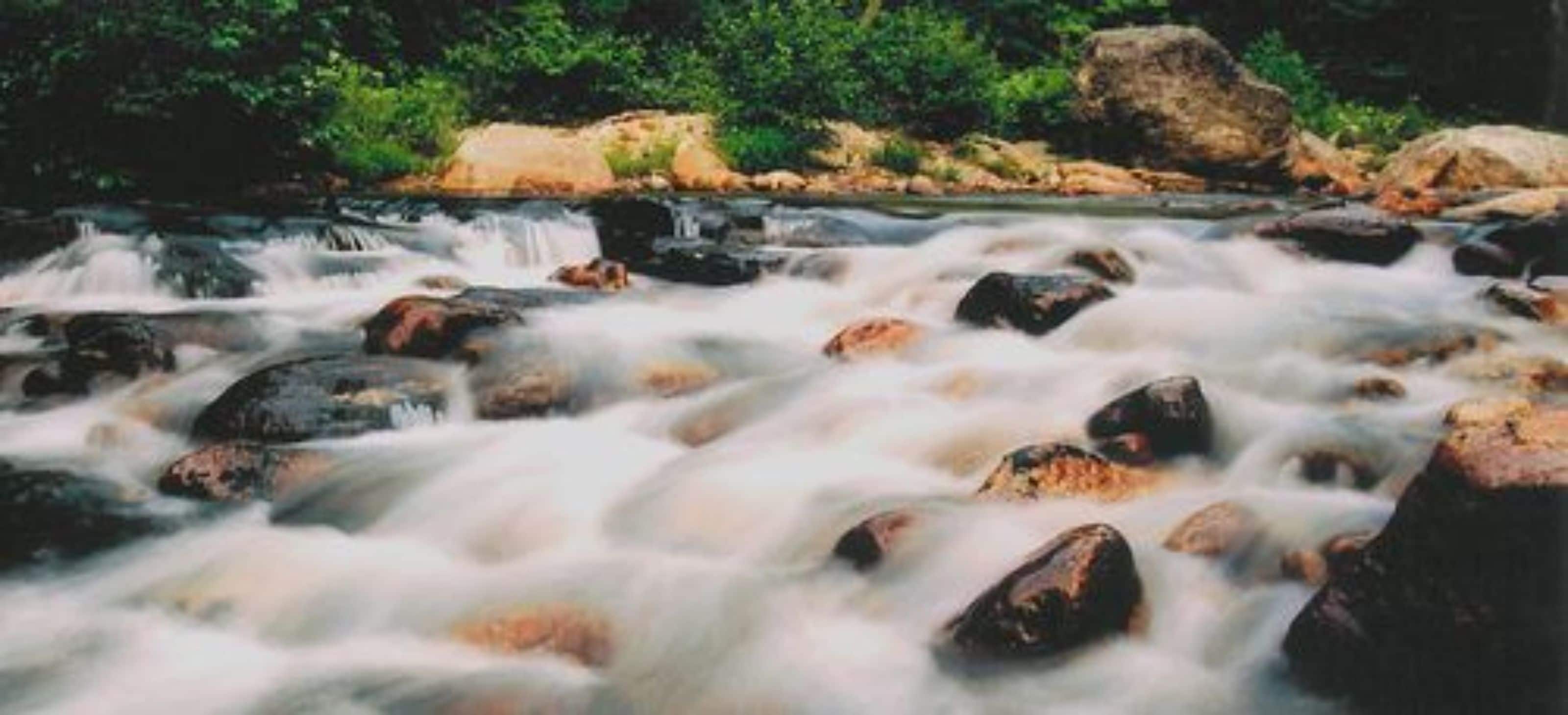 A river with rocks and flowing water, surrounded by greenery.