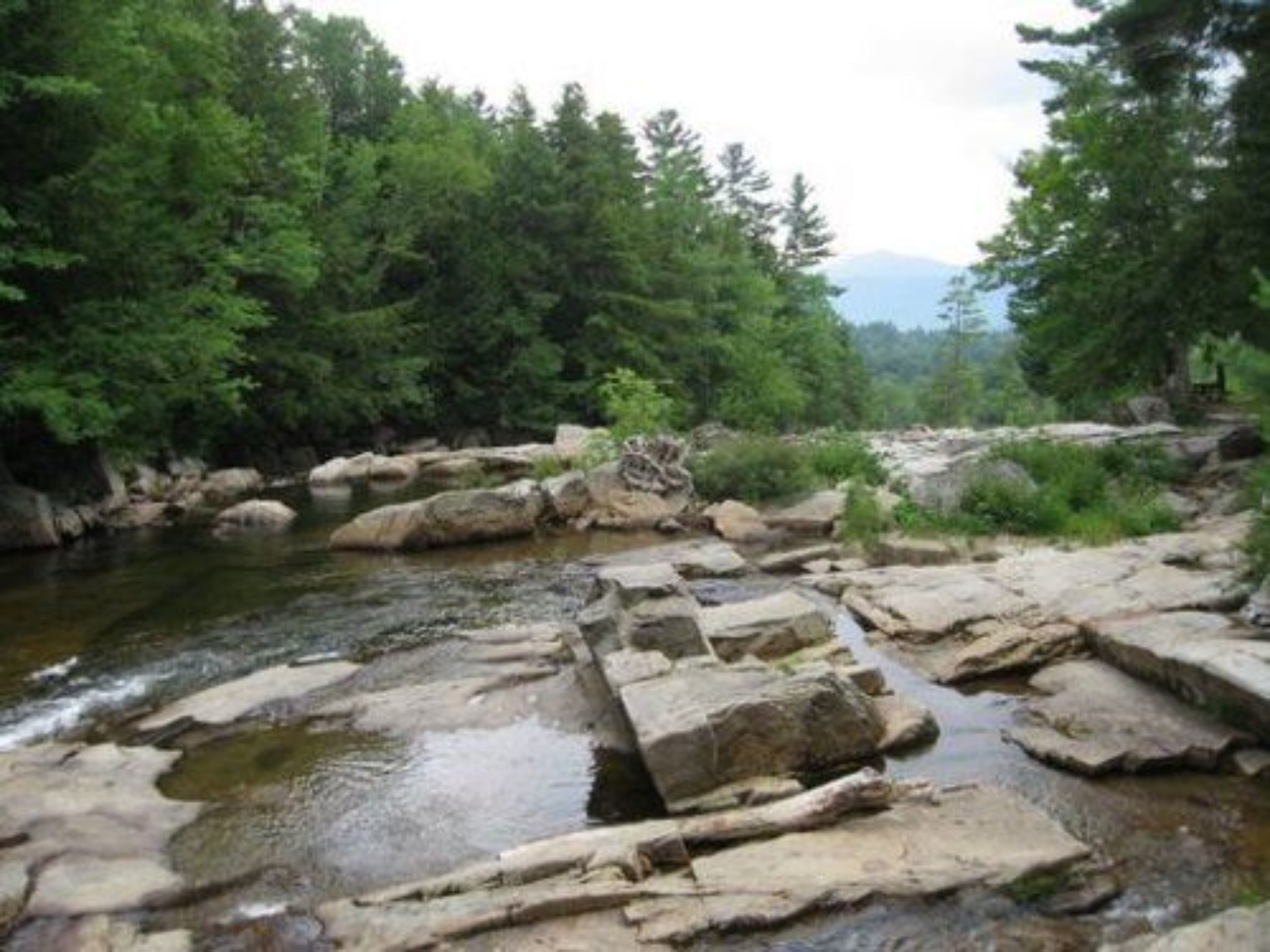 A natural landscape with a river, rocks, and dense green trees.