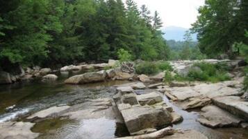 A natural landscape with a river, rocks, and dense green trees.