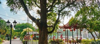 Dream Park Resort