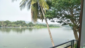 A view of a lake with a palm tree and a bridge.