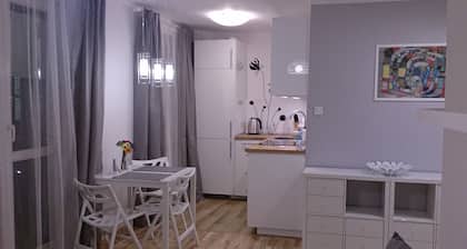 1 bedroom City Center Apartment