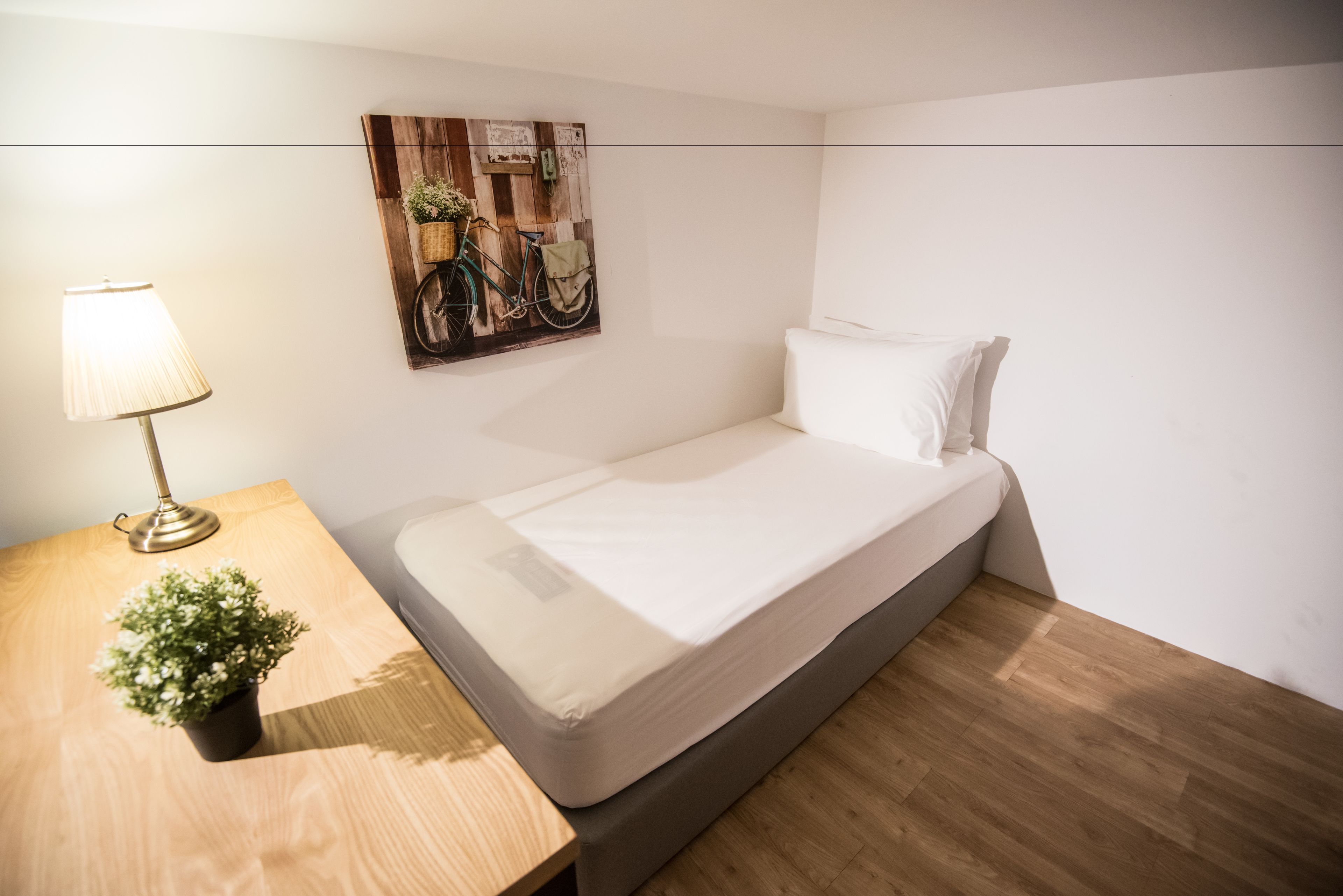 Ein Einzelbett mit Matratze und Kissen, ein Nachttisch mit Lampe und Topfpflanze sowie ein Wandbild mit einem Fahrrad und Grünpflanzen.