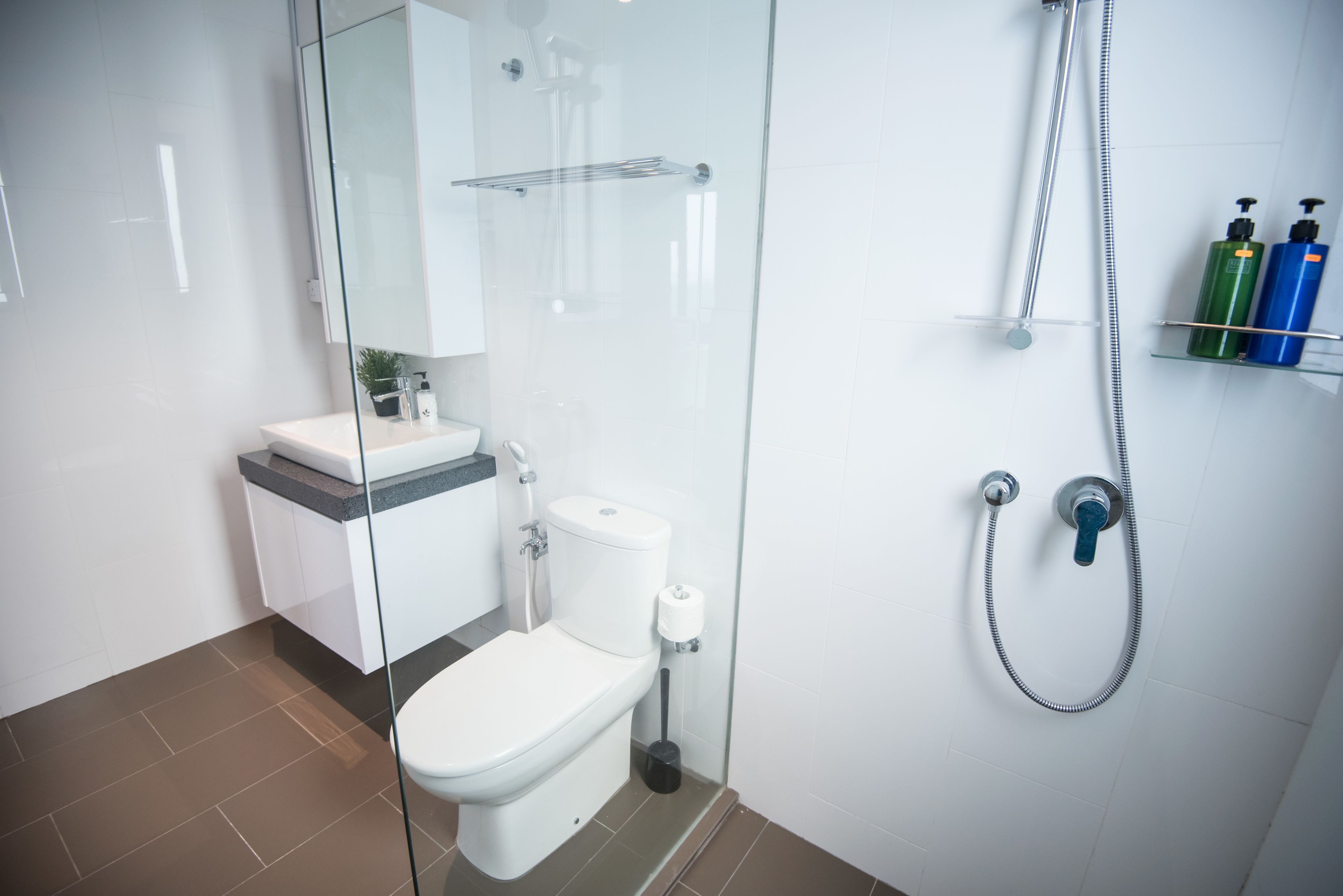 A modern bathroom with a glass shower enclosure, a toilet, and a sink.