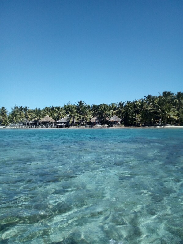 Vue sur la plage/l’océan