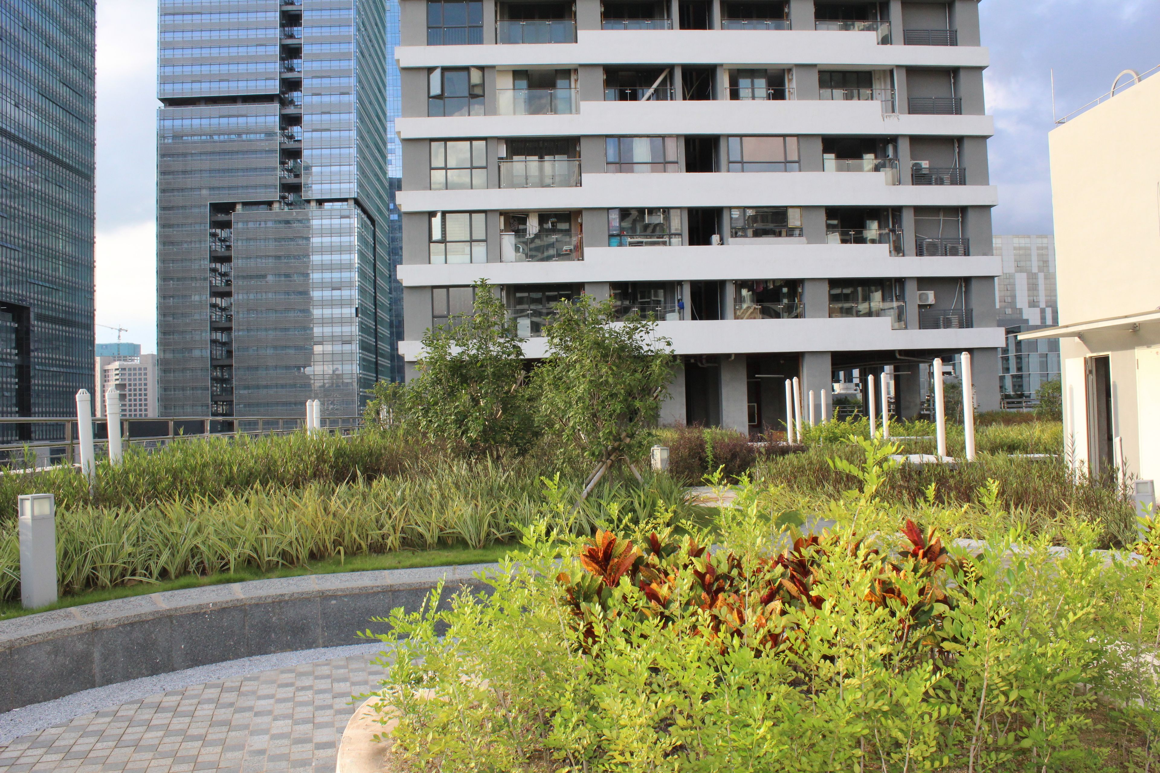 Un edificio moderno de varios pisos, rodeado de un jardín ajardinado con diversas plantas y un camino pavimentado.