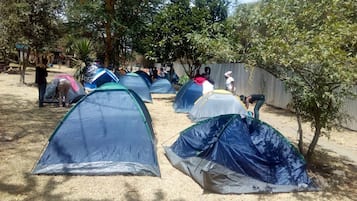Servicios del alojamiento