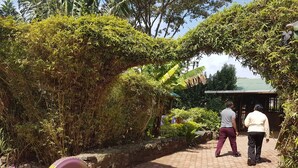 A pathway leading to a building with a green roof, surrounded by lush greenery and a tire lying on the ground. - Kivu Resort - Hostel (Nakuru)