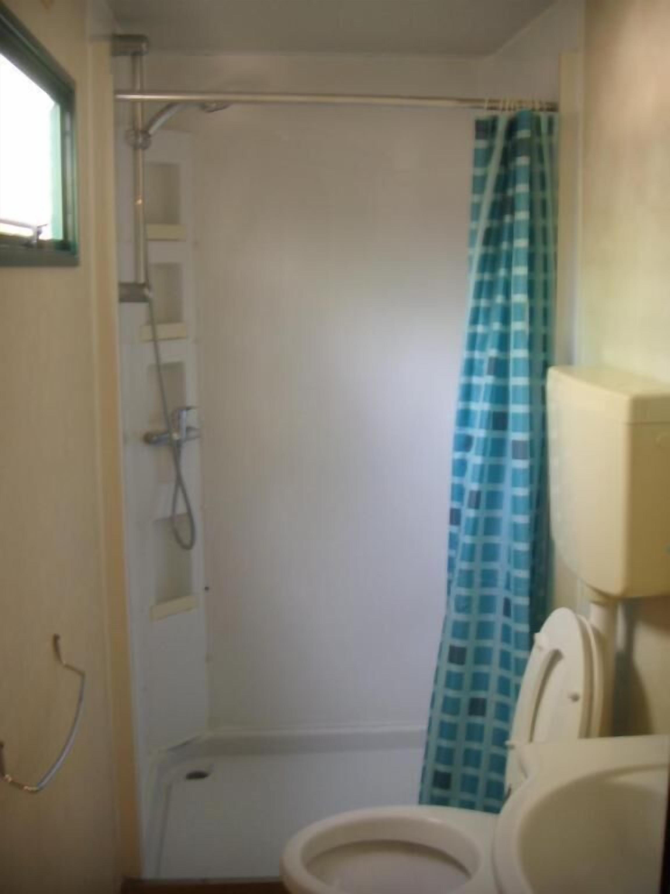 A small bathroom with a toilet, a shower, and a blue checkered shower curtain.