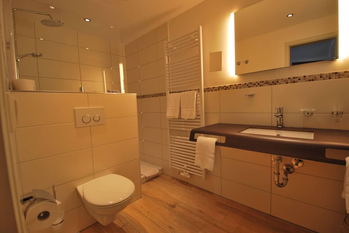 shower, free toiletries, hair dryer, towels