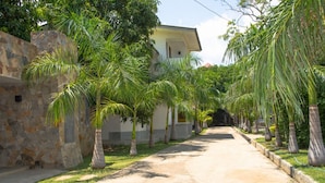 A paved pathway flanked by palm trees and a stone wall, leading to a building with a light-colored facade. - Ariyana Wellness Retreat Yala (Thissamaharama)
