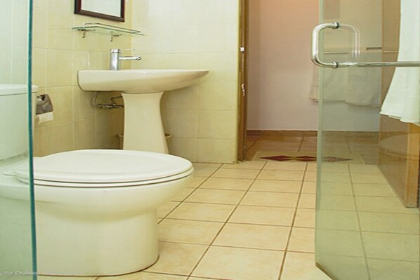 A bathroom with a toilet, sink, and glass shower enclosure.