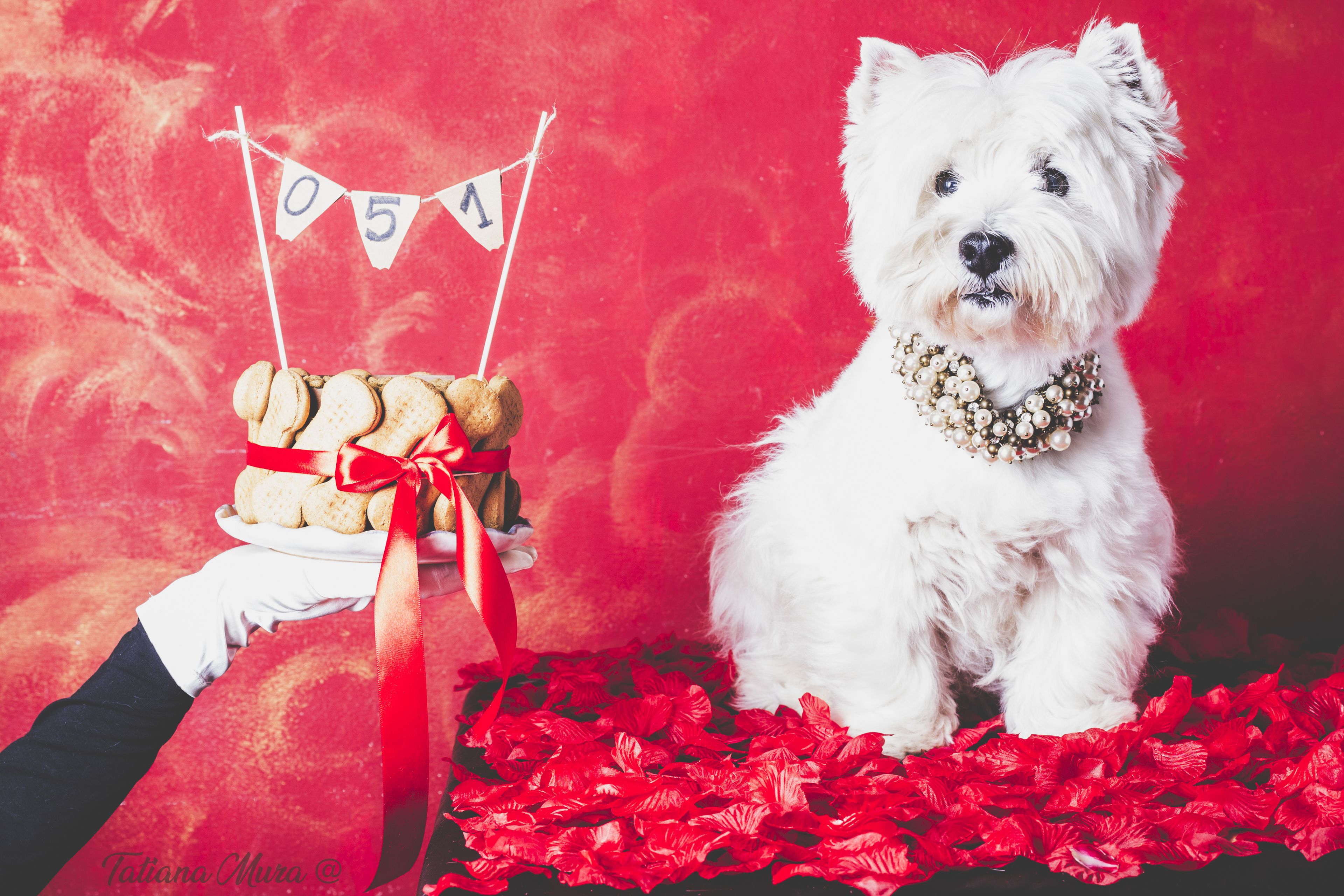 Foto - 051 Room & Breakfast