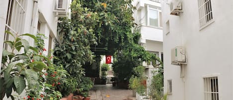 Extérieur
