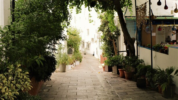 A narrow alleyway with potted plants on both sides, leading to a building with a blue door and a small shop on the right. - Durak Hotel (Bodrum)