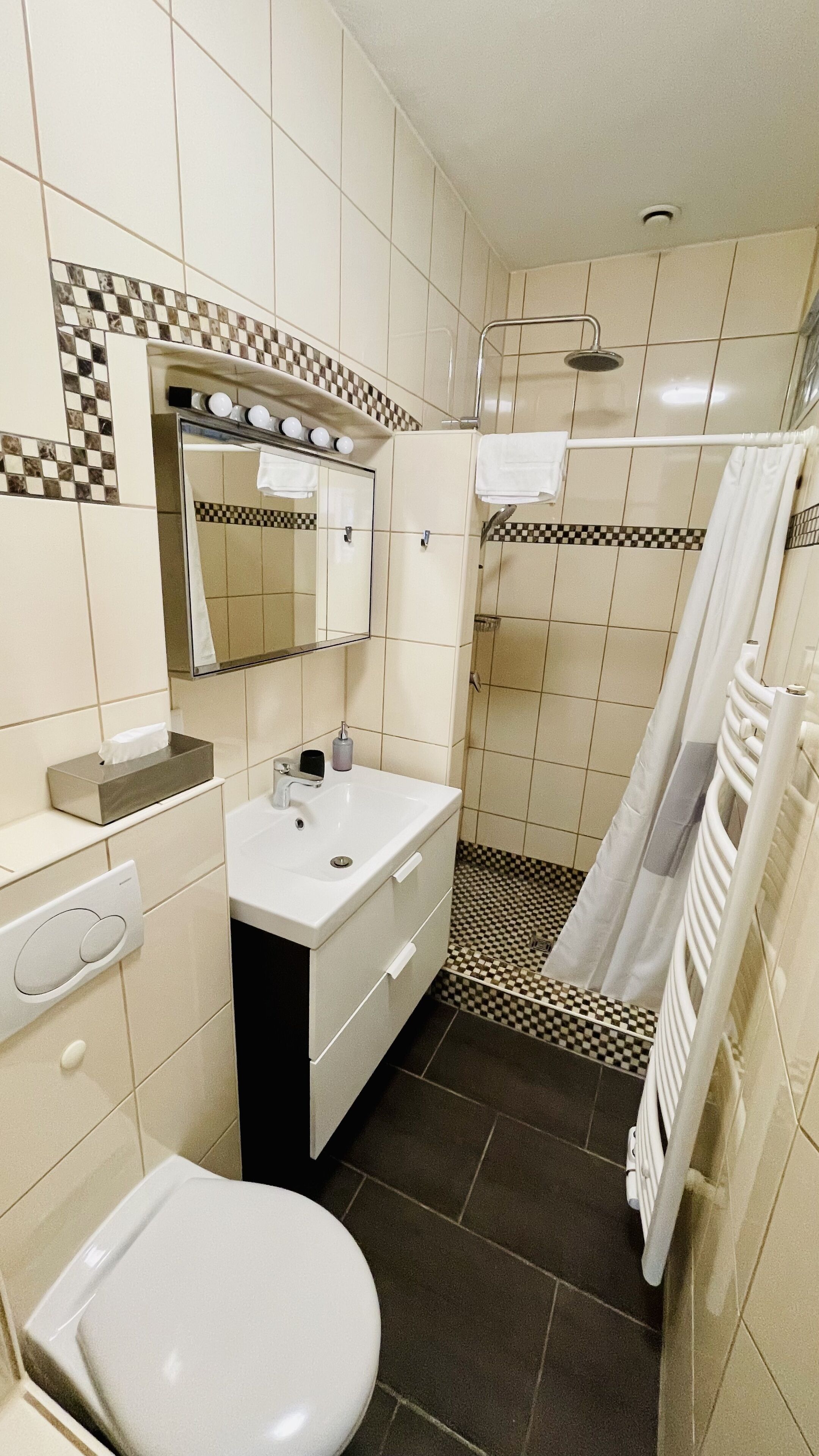 apartment, ensuite (erdgeschoss) | bathroom