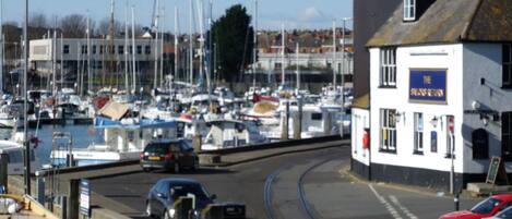 A marina with boats docked, a building labeled "The Salty Town," and a road with cars.