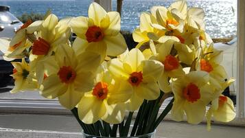 Habitación doble estándar, vista al mar | Tabla de planchar con plancha y wifi gratis