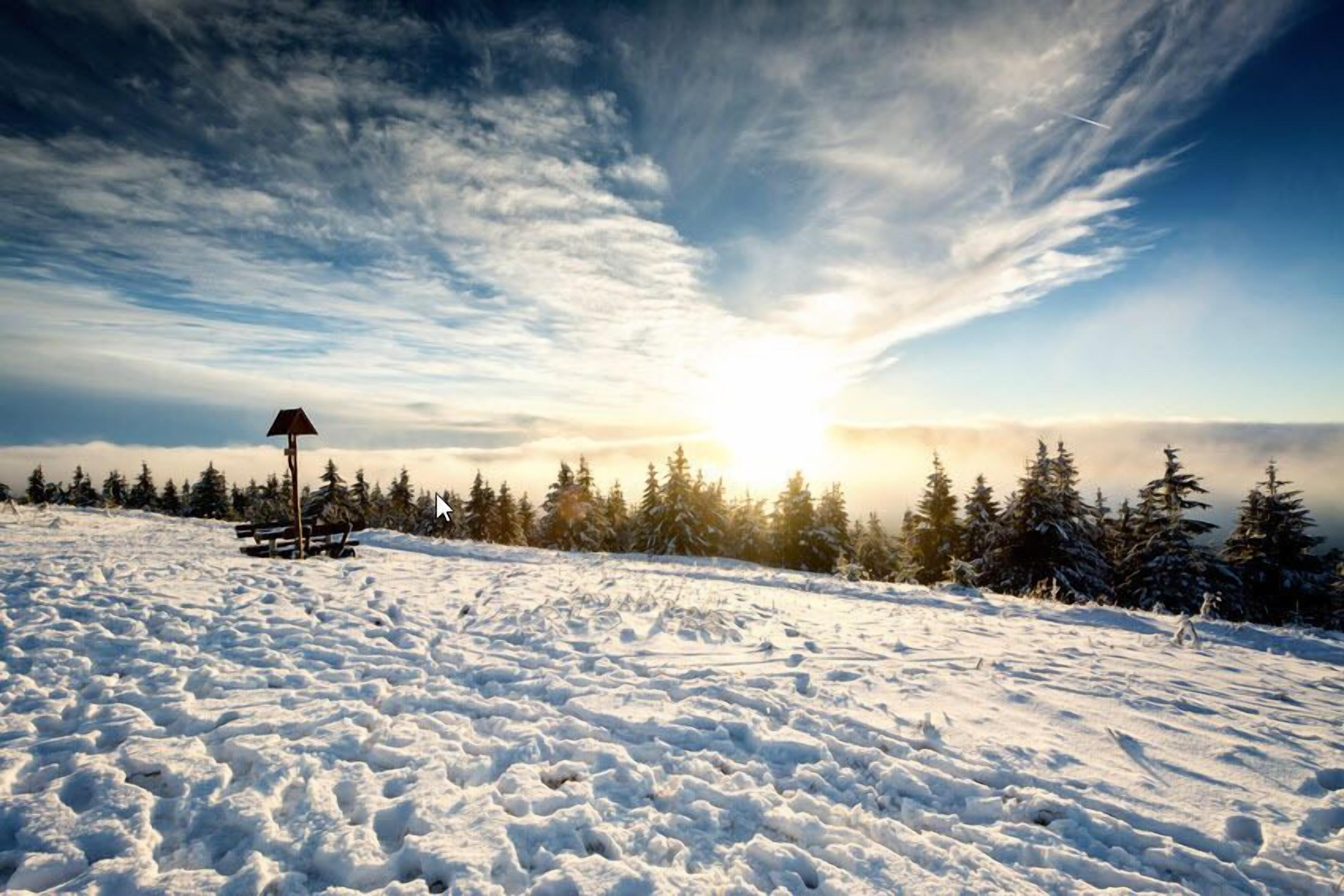 A snowy landscape with a wooden bench and a lamp post, surrounded by evergreen trees under a clear sky.