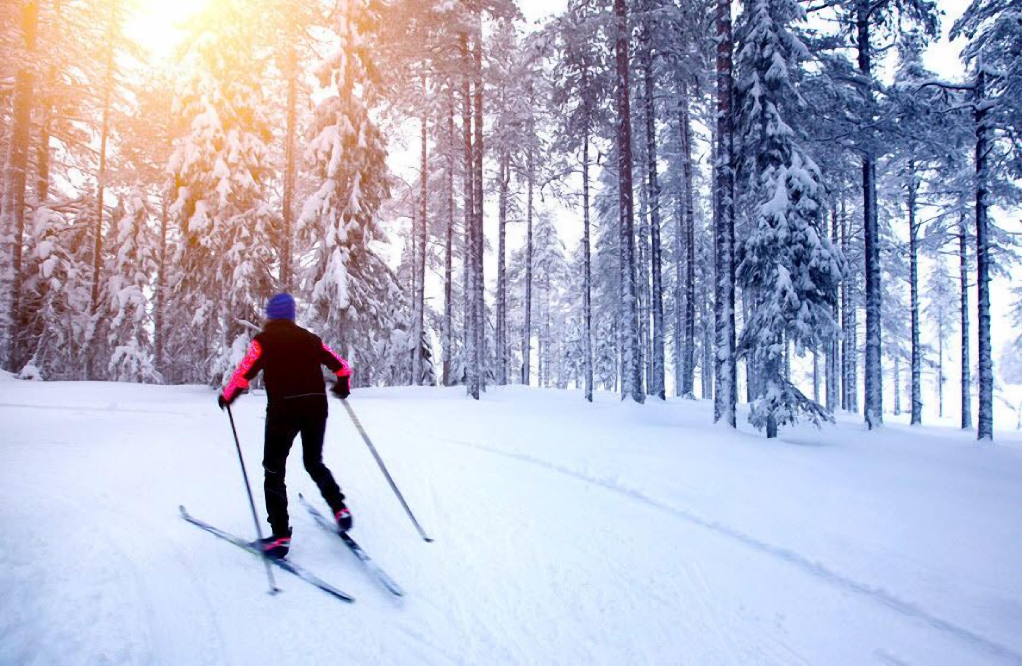 En person står på ski ned ad en sneklædt sti, omgivet af høje træer.