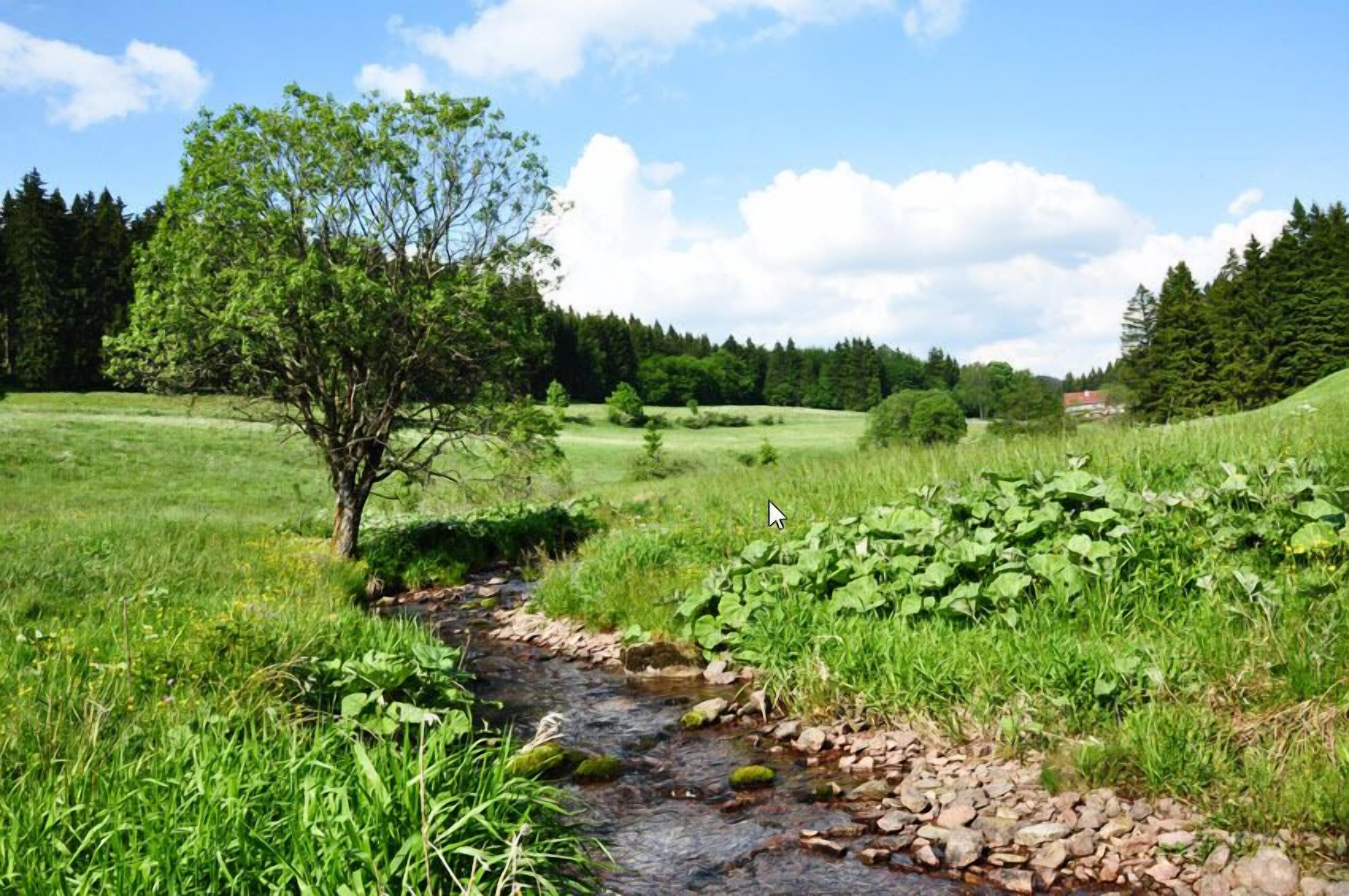 Un paisaje natural con un arroyo, campos cubiertos de hierba y árboles.