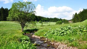 Un paisaje natural con un arroyo, campos cubiertos de hierba y árboles.