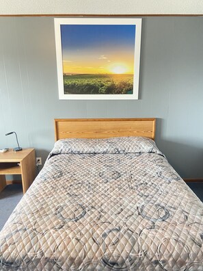 Habitación estándar, 1 cama de matrimonio, accesible para personas con discapacidad | Escritorio, wifi gratis, ropa de cama