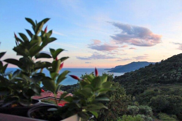 Un paisaje costero con vista al mar y colinas lejanas.