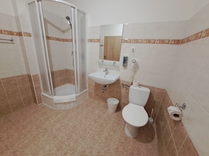 A bathroom with a shower, sink, toilet, and a mirror. - Legie (Prague)