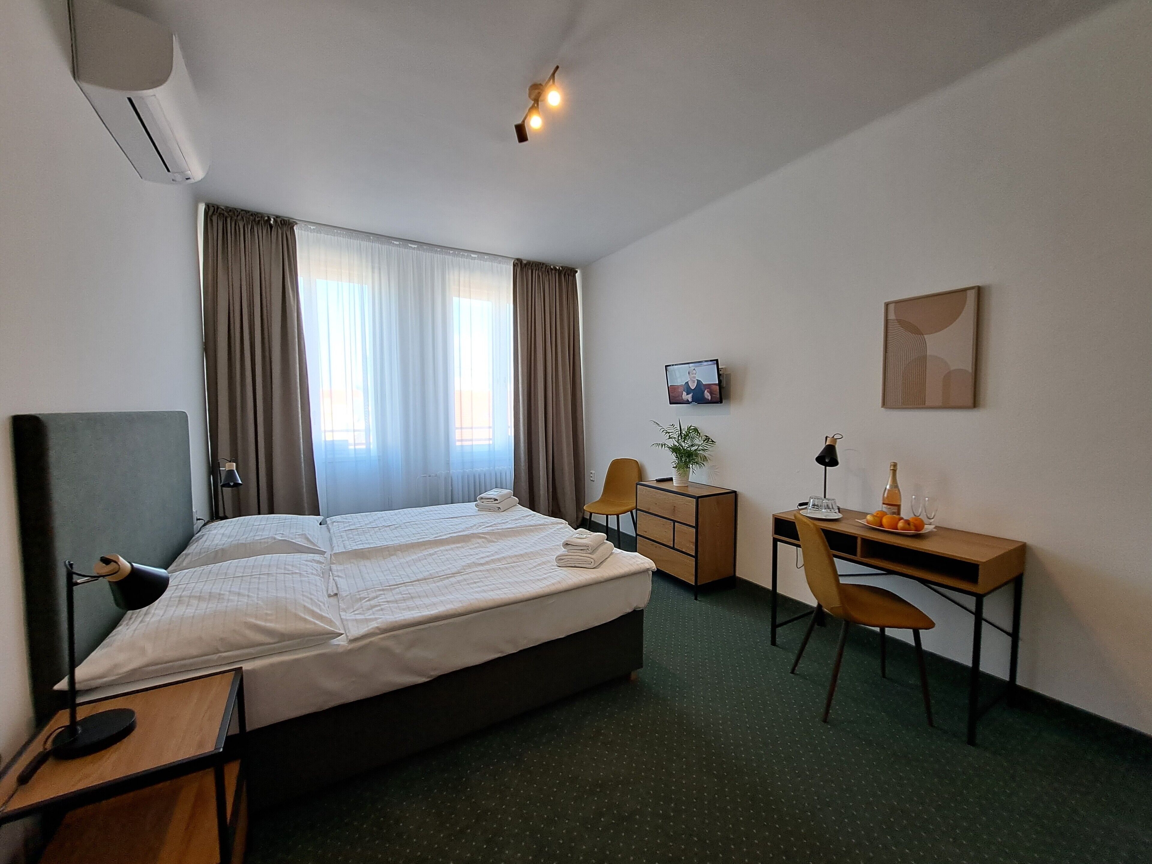 Habitación de hotel con cama, escritorio, silla, televisor y una planta.