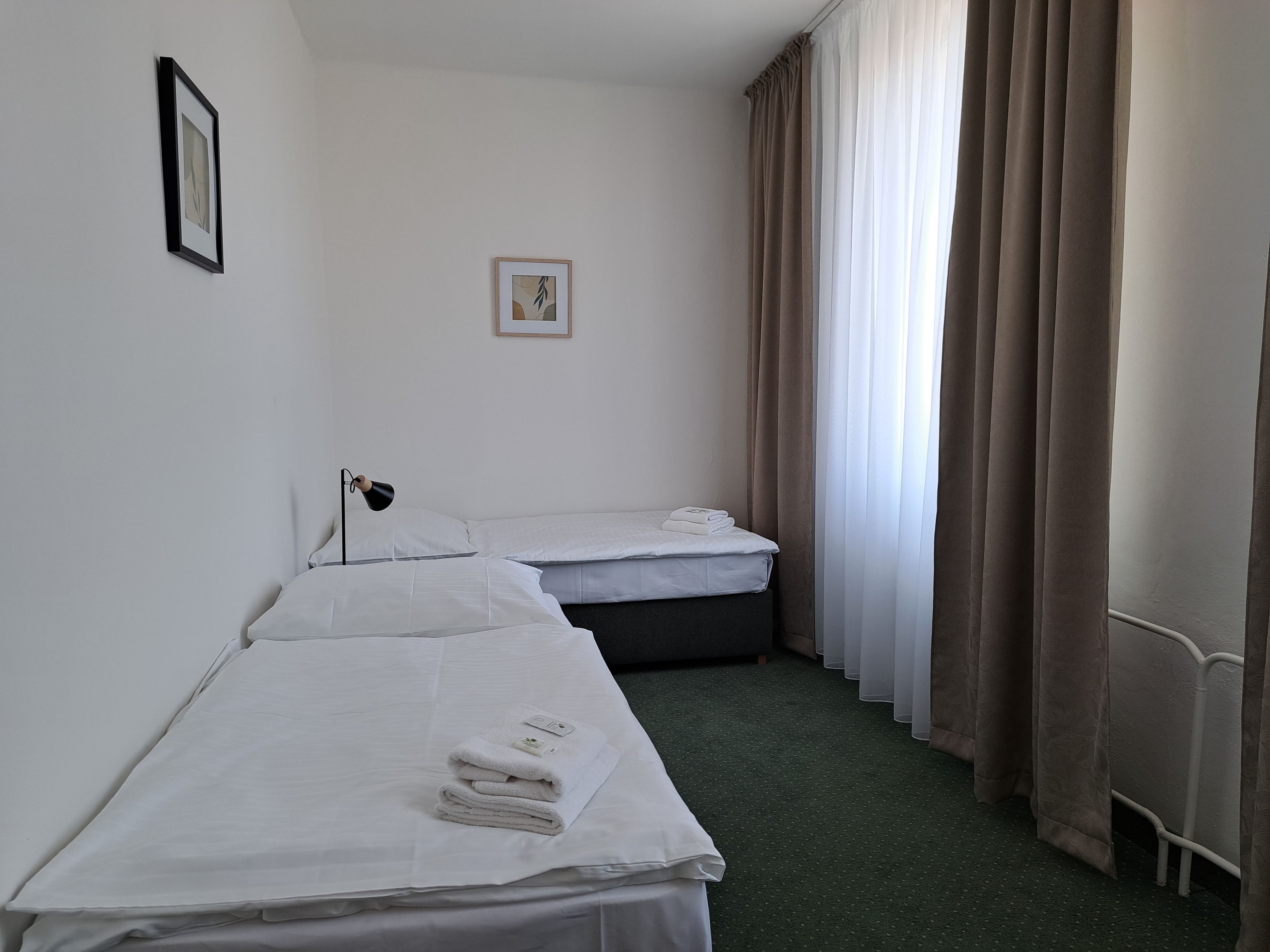 Habitación de hotel con dos camas individuales, una mesita de noche con lámpara, un cuadro en la pared y una ventana con cortinas.