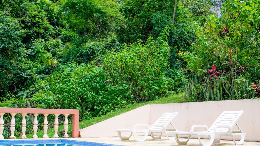 Pousada Canto do Curió